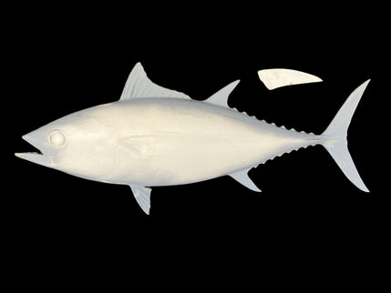 34-INCH BLACKFIN TUNA BLANK, STANDARD
