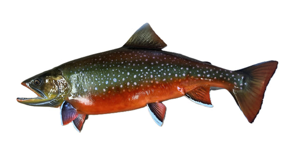 34-INCH ARCTIC CHAR