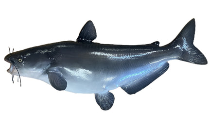 34-INCH BLUE CATFISH