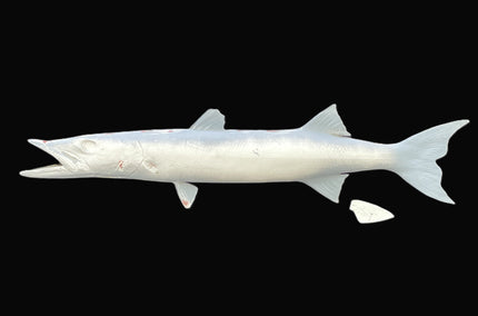 35-INCH BARRACUDA BLANK, STANDARD