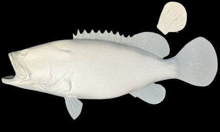 35-INCH JEWFISH BLANK, STANDARD