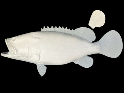 35-INCH JEWFISH BLANK, STANDARD