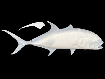 35-INCH CREVALLE JACK BLANK, STANDARD