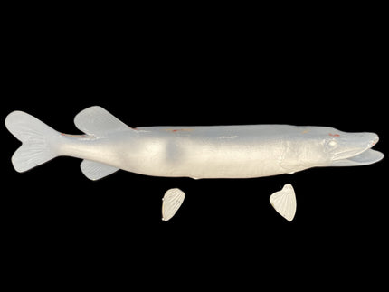 35-INCH NORTHERN PIKE BLANK, STANDARD