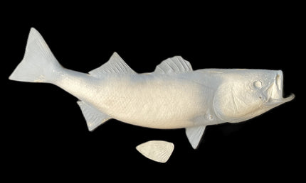 35-INCH STRIPED BASS BLANK, STANDARD