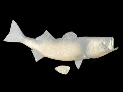 35-INCH STRIPED BASS BLANK, STANDARD