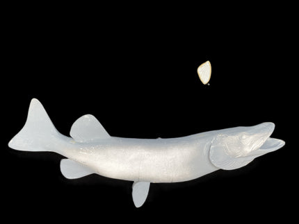 35-INCH MUSKIE BLANK, STANDARD