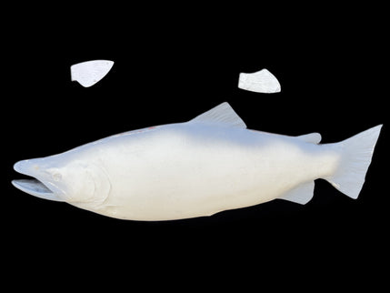 36-INCH BROWN TROUT BLANK, STANDARD