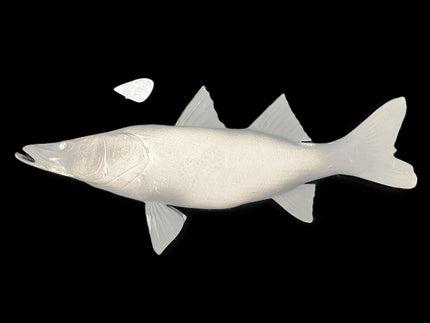 36-INCH COMMON SNOOK BLANK, STANDARD