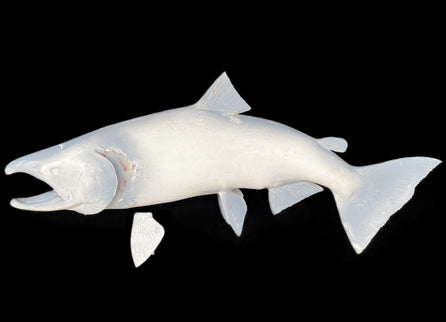 36-INCH KING SALMON BLANK, STANDARD