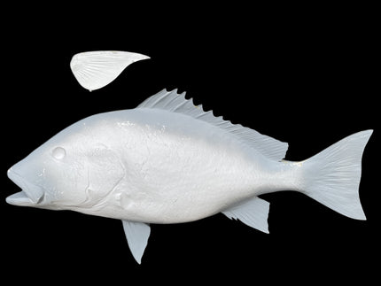 36-INCH RED SNAPPER BLANK, STANDARD
