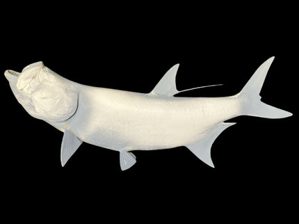 36-INCH TARPON BLANK, STANDARD
