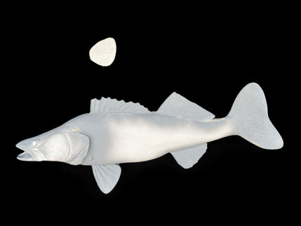 36-INCH WALLEYE BLANK, STANDARD