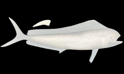 37-INCH COW DOLPHIN BLANK, STANDARD