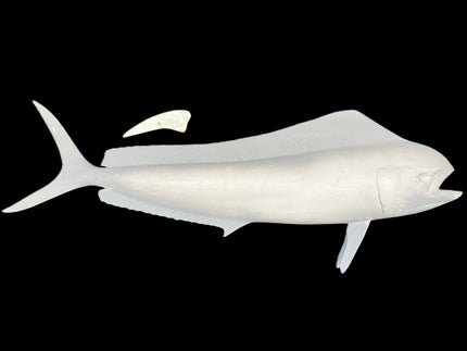 37-INCH COW DOLPHIN BLANK, STANDARD