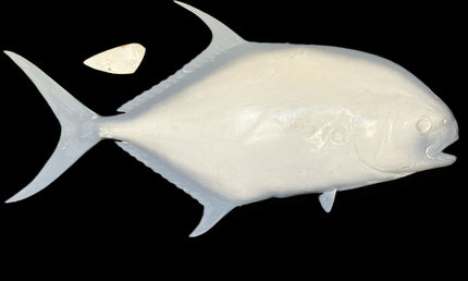 37-INCH PERMIT BLANK, STANDARD