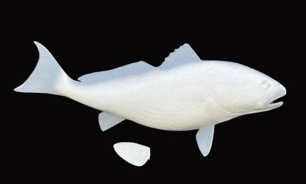37-INCH REDFISH BLANK, STANDARD
