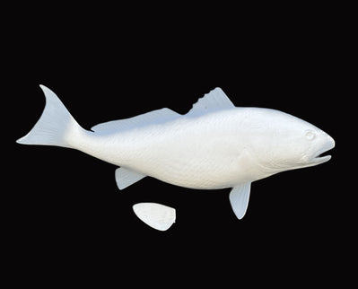 37-INCH REDFISH BLANK, STANDARD