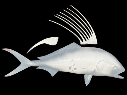37-INCH ROOSTERFISH BLANK, STANDARD