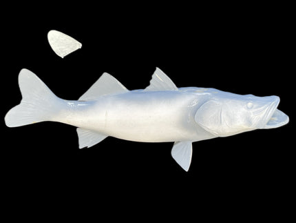 37-INCH COMMON SNOOK BLANK, STANDARD