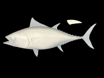 37-INCH BLACKFIN TUNA BLANK, STANDARD