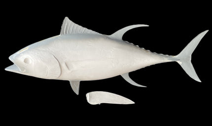 37-INCH YELLOWFIN TUNA BLANK, STANDARD