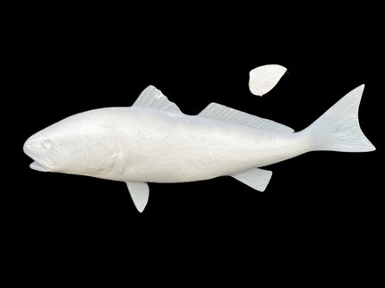 38-INCH REDFISH BLANK, STANDARD