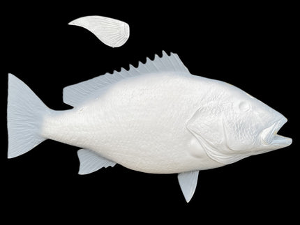 38-INCH RED SNAPPER BLANK, STANDARD