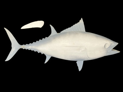 38-INCH BLACKFIN TUNA BLANK, STANDARD