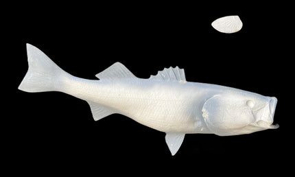 38-INCH STRIPED BASS BLANK, STANDARD