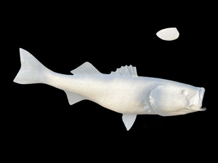 38-INCH STRIPED BASS BLANK, STANDARD