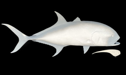 39-INCH CREVALLE JACK BLANK, STANDARD