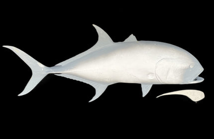 39-INCH CREVALLE JACK BLANK, STANDARD