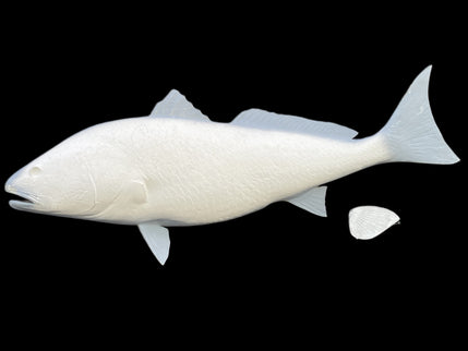 39-INCH REDFISH BLANK, STANDARD
