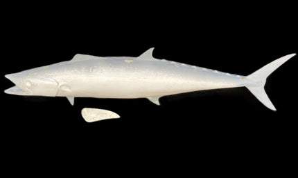 40-INCH KINGFISH BLANK, STANDARD