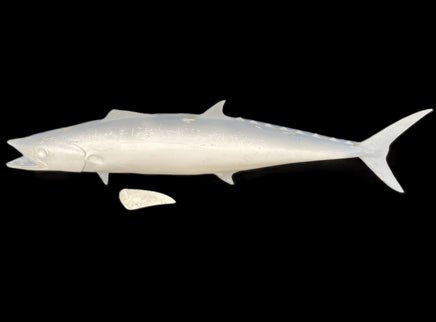40-INCH KINGFISH BLANK, STANDARD