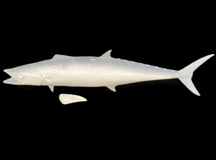 40-INCH KINGFISH BLANK, STANDARD