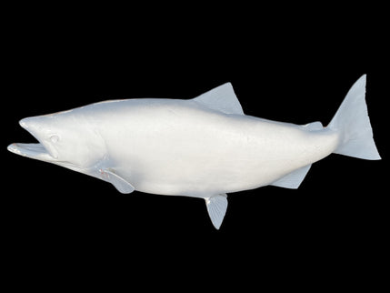 40-INCH KING SALMON BLANK, STANDARD