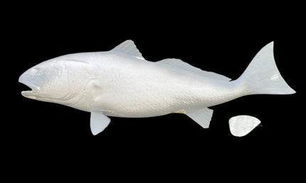 40-INCH REDFISH BLANK, STANDARD