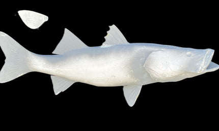 40-INCH COMMON SNOOK BLANK, STANDARD