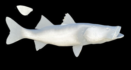 40-INCH COMMON SNOOK BLANK, STANDARD