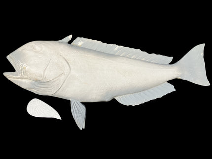 40-INCH GOLDEN TILEFISH BLANK, STANDARD