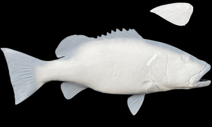 41-INCH CUBERA SNAPPER BLANK, STANDARD