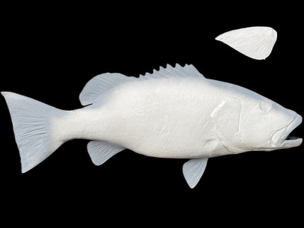 41-INCH CUBERA SNAPPER BLANK, STANDARD