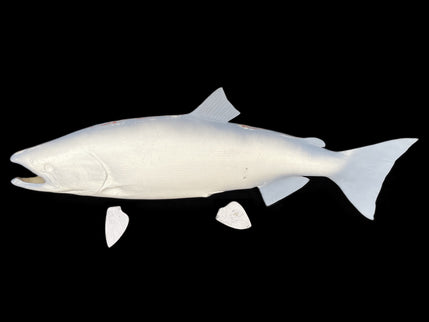 41-INCH KING SALMON BLANK, STANDARD
