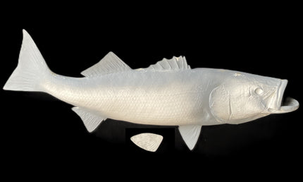 41-INCH STRIPED BASS BLANK, STANDARD