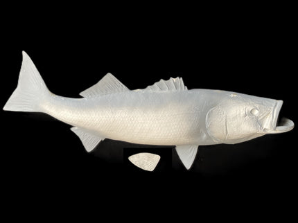 41-INCH STRIPED BASS BLANK, STANDARD
