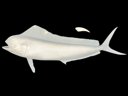 42-INCH COW DOLPHIN BLANK, STANDARD