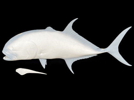 40-INCH CREVALLE JACK BLANK, STANDARD