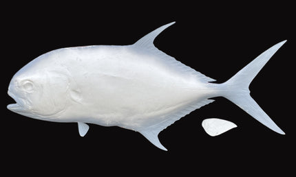 42-INCH PERMIT BLANK, STANDARD